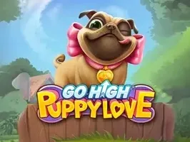 รักลูกสุนัข Go High