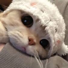 ปุ๊กลุก ฝนทิพย์ avatar